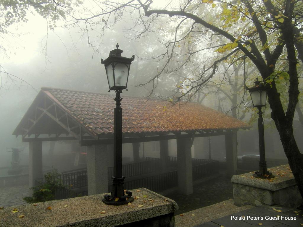 Peter'S Guest House Sighnaghi Bagian luar foto