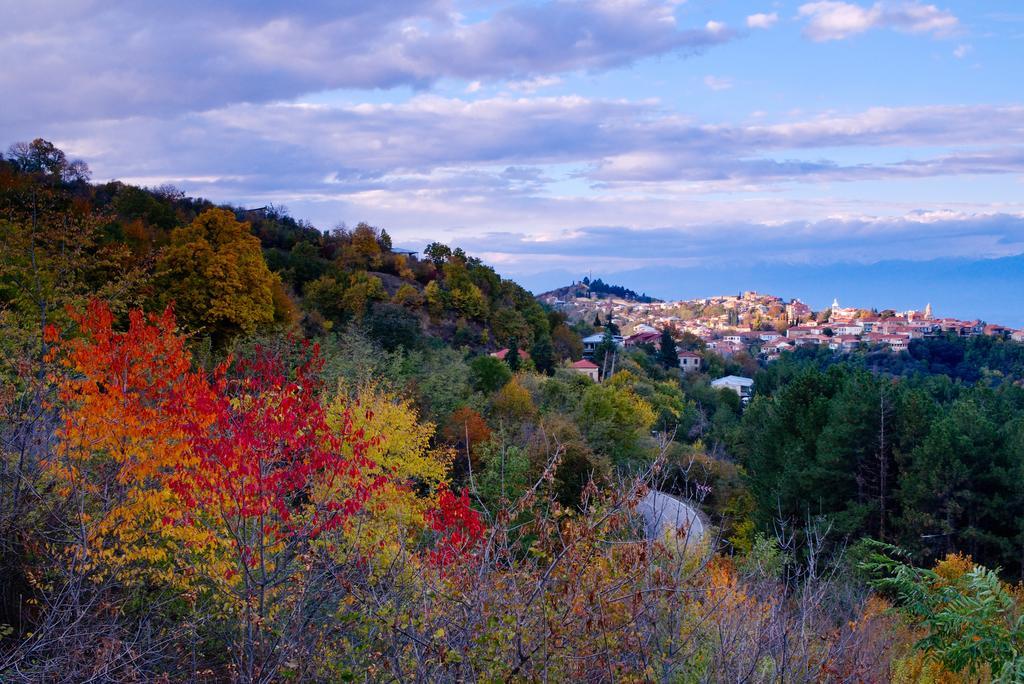 Peter'S Guest House Sighnaghi Bagian luar foto